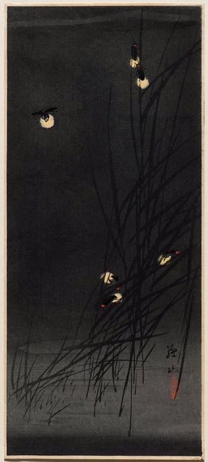 Maki Sozan: Fireflies on grasses at night - ボストン美術館