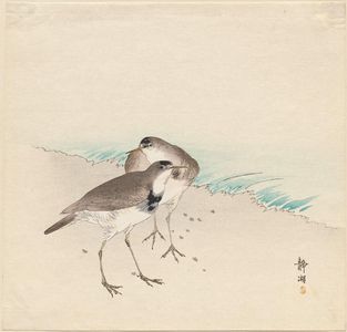 Seiko: Sandpipers on a beach - Museum of Fine Arts