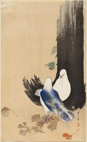 Watanabe Seitei: Two pigeons under a ginko tree - Museum of Fine Arts