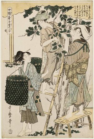 喜多川歌麿: No. 2 from the series Women Engaged in the Sericulture Industry (Joshoku kaiko tewaza-gusa) - ボストン美術館