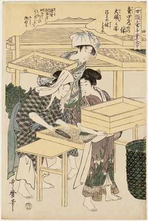 喜多川歌麿: No. 4 from the series Women Engaged in the Sericulture Industry (Joshoku kaiko tewaza-gusa) - ボストン美術館