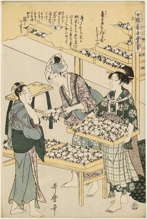 Kitagawa Utamaro: No. 6 from the series Women Engaged in the Sericulture Industry (Joshoku kaiko tewaza-gusa) - Museum of Fine Arts