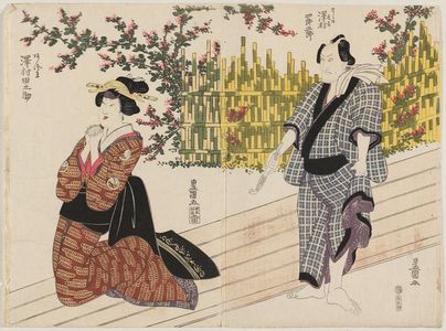 Utagawa Toyokuni I: Actors Sawamura Shirogorô (R) and Sawamura Tanosuke (L) - Museum of Fine Arts