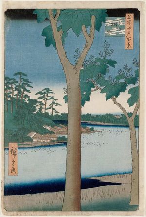 Utagawa Hiroshige: Paulownia Plantation at Akasaka (Akasaka Kiribatake), from the series One Hundred Famous Views of Edo (Meisho Edo hyakkei) - Museum of Fine Arts