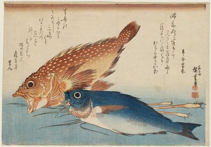 歌川広重: Scorpionfish, Isaki, and Ginger, from an untitled series known as Large Fish - ボストン美術館