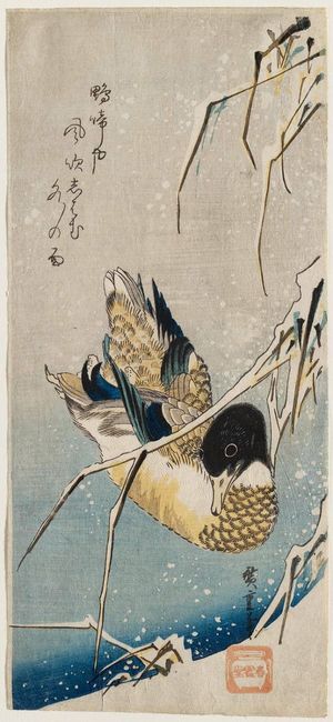 Utagawa Hiroshige: Mallard Duck and Snow-covered Reeds - Museum of Fine Arts