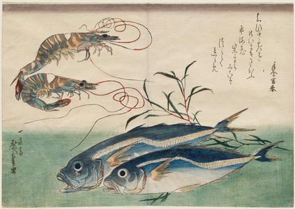Utagawa Hiroshige: Horse Mackerel, Freshwater Prawns, and Seaweed, from an untitled series known as Large Fish - Museum of Fine Arts