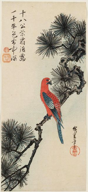 Utagawa Hiroshige: Macaw on Pine Branch - Museum of Fine Arts