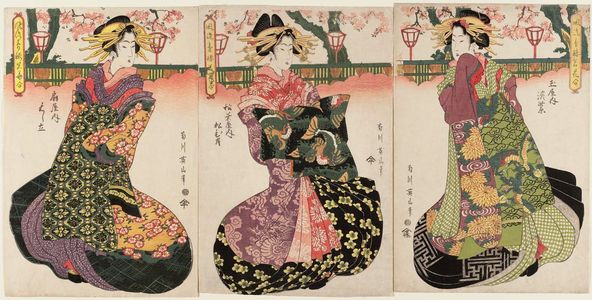 Kikugawa Eizan: , from the series A Fashionable Comparison of the Famous Flowers of the Pleasure Quarters (Fûryû seirô meika awase) - Museum of Fine Arts