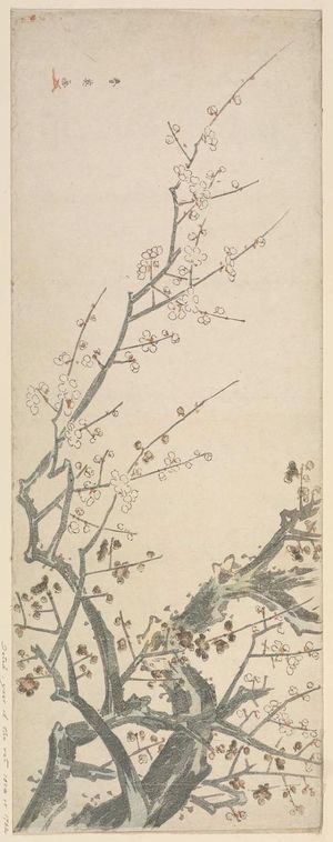Katsukawa Shun'ei: Flowering Plum - Museum of Fine Arts