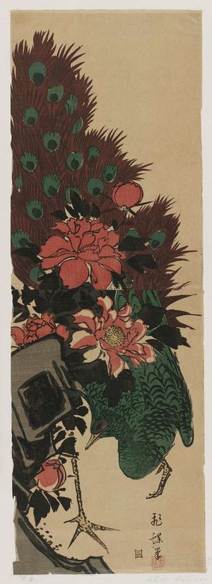 Aritaya Seiemon: Peacock and Peonies - Museum of Fine Arts