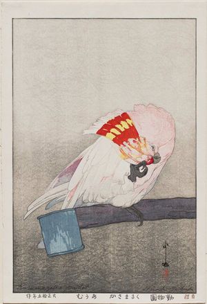 吉田博: Kurumazaka Parrot (Kurumazaka ômu), from the series Zoo (Dôbutsuen) - ボストン美術館