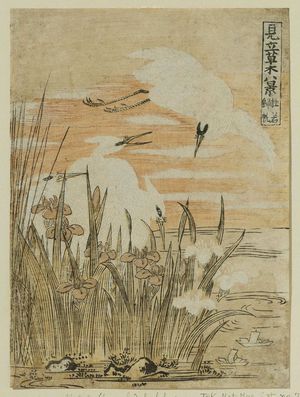 Isoda Koryusai: Returning Sails of the Iris (Kakitsubata kihan), from the series Eight Fanciful Views of Plants (Mitate sômoku hakkei) - Museum of Fine Arts