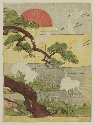 磯田湖龍齋: White Herons, Pine Tree, and Rising Sun - ボストン美術館