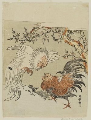 Isoda Koryusai, 磯田湖龍齋 (Isoda Koryûsai)による浮世絵「Cocks Fighting under a Blossoming Tree」