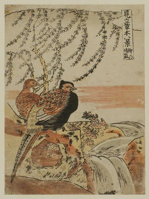 Isoda Koryusai: Clearing Weather of the Willow (Yanagi no seiran), from the series Eight Fanciful Views of Plants (Mitate sômoku hakkei) - Museum of Fine Arts