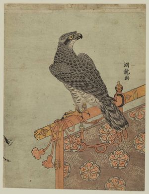 Isoda Koryusai: Falcon on Perch - Museum of Fine Arts