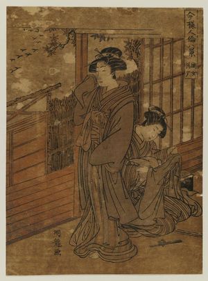 Isoda Koryusai: Descending Geese of the Kept Woman (Kakoi onna no rakugan), from the series Eight Views of Modern Human Relations (Imayô jinrin hakkei) - Museum of Fine Arts