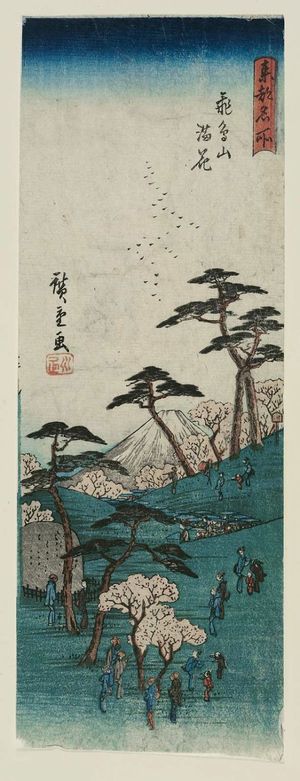 Utagawa Hiroshige: Cherry Blossoms in Full Bloom at Asuka Hill (Asukayama manka), from the series Famous Places in the Eastern Capital (Tôto meisho) - Museum of Fine Arts