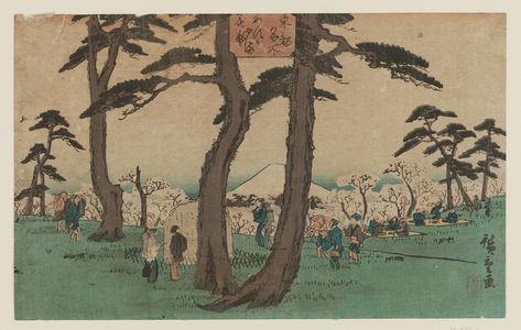 Utagawa Hiroshige: Cherry Blossoms in Full Bloom at Asuka Hill (Asukayama hanazakari), from the series Famous Places in the Eastern Capital (Tôto meisho) - Museum of Fine Arts