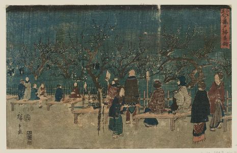 歌川広重: Plum Garden at Kameido (Kameido umeyashiki), from the series Famous Places in Edo (Edo meisho) - ボストン美術館
