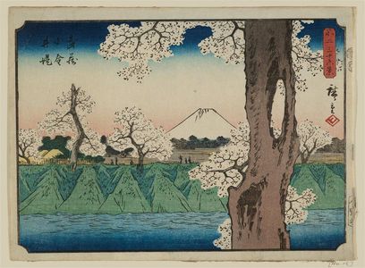Utagawa Hiroshige: The Embankment at Koganei in Musashi Province (Musashi Koganei tsutsumi), from the series Thirty-six Views of Mount Fuji (Fuji sanjûrokkei) - Museum of Fine Arts