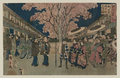 Utagawa Hiroshige: Cherry-blossom Time at Naka-no-chô in the New Yoshiwara (Shin Yoshiwara Naka-no-chô sakura toki), from the series Famous Places in Edo (Edo meisho) - Museum of Fine Arts