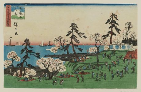 歌川広重: Cherry-blossom Viewing at Goten-yama (Goten-yama hanami), from the series Three Views of Famous Places in Edo (Edo meisho mittsu no nagame) - ボストン美術館