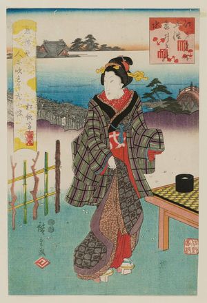 Utagawa Hiroshige: Water of Kameido (Kameido no mizu), from the series Five Elements at Famous Places in Edo (Edo meisho goshô) - Museum of Fine Arts