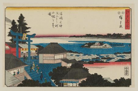 歌川広重: Looking toward Ikenohata from the Hill of the Yushima Tenjin Shrine (Yushima Tenjin sakaue yori Ikenohata o miru zu), from the series Famous Places in Edo (Edo meisho) - ボストン美術館