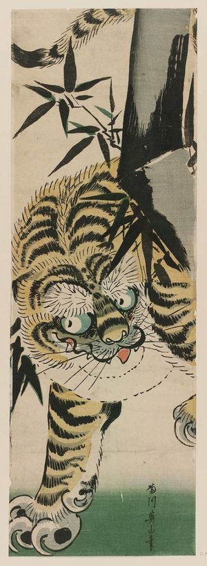 菊川英山: Tiger and Bamboo - ボストン美術館