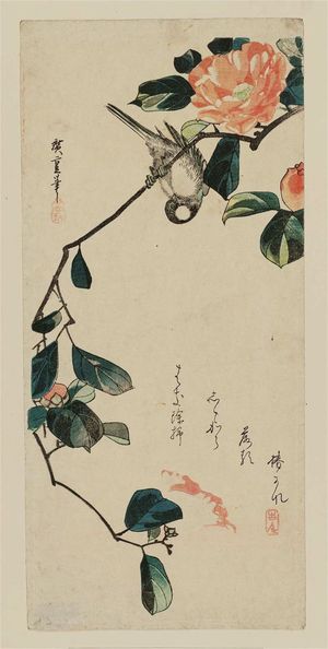 Utagawa Hiroshige: Camellia and Bullfinch - Museum of Fine Arts