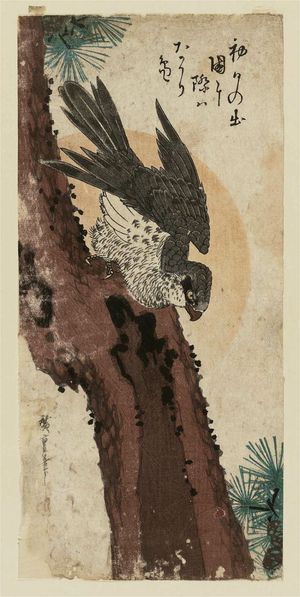 Utagawa Hiroshige: Falcon, Pine, and New Year Sunrise - Museum of Fine Arts