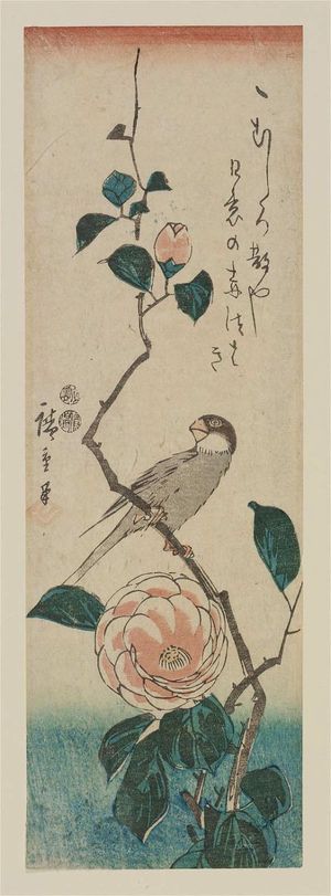 Utagawa Hiroshige: Finch on Camelia Branch - Museum of Fine Arts