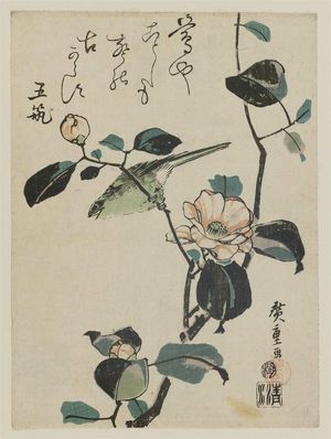 Utagawa Hiroshige: Warbler on Camellia Branch - Museum of Fine Arts