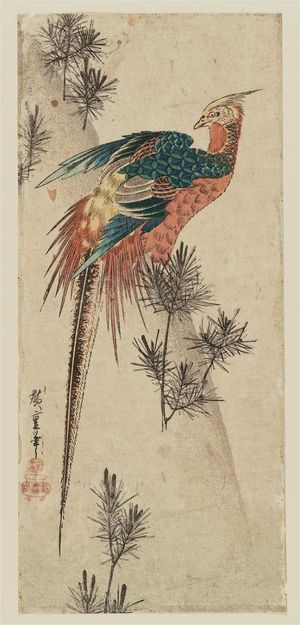 Utagawa Hiroshige: Golden Pheasant and Pine Shoots in Snow - Museum of Fine Arts