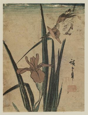 Utagawa Hiroshige: Kingfisher and Iris - Museum of Fine Arts