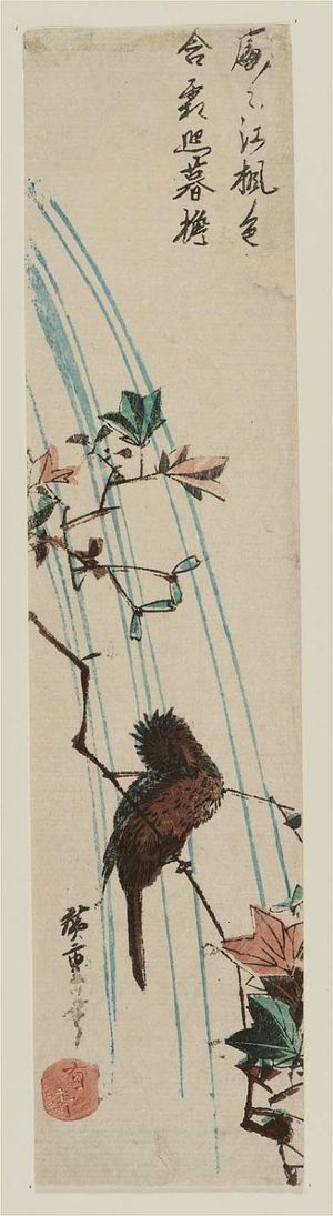 Utagawa Hiroshige: Bulbul on Maple Branch - Museum of Fine Arts