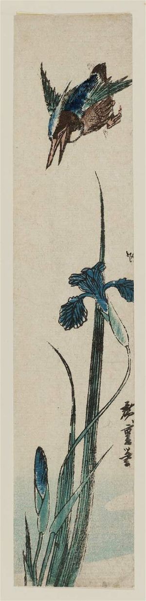 Utagawa Hiroshige: Kingfisher and Iris - Museum of Fine Arts