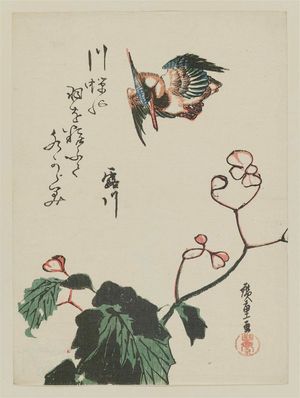 Utagawa Hiroshige: Kingfisher and Begonia - Museum of Fine Arts