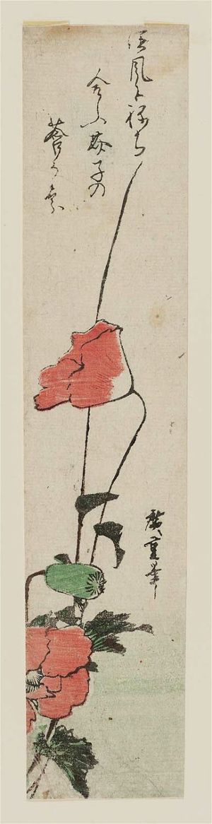 Utagawa Hiroshige: Poppies - Museum of Fine Arts