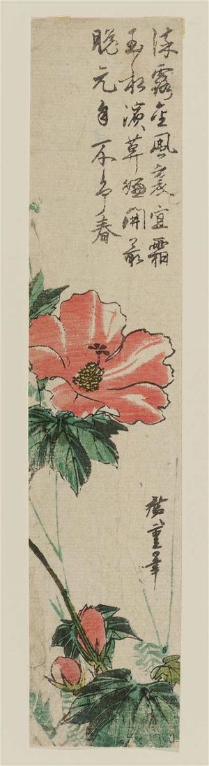 歌川広重: Hibiscus - ボストン美術館