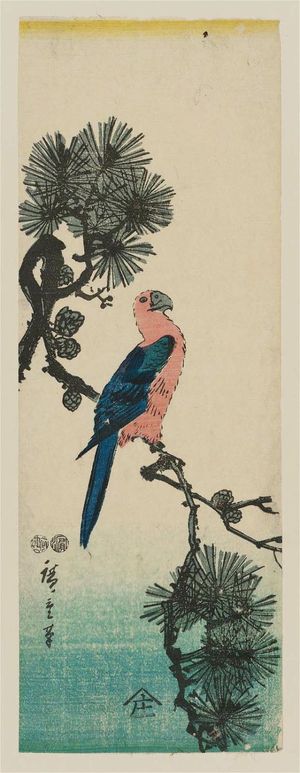 Utagawa Hiroshige: Macaw on Pine Branch - Museum of Fine Arts