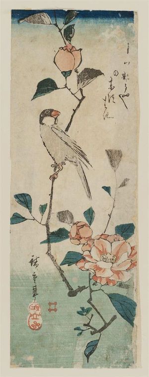 歌川広重: Finch on Camellia Branch - ボストン美術館