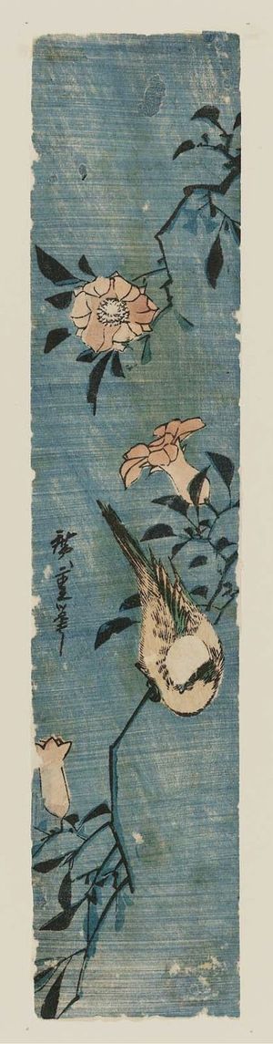 歌川広重: Small bird on a blossoming pomegranate branch - ボストン美術館