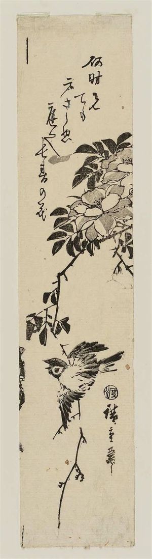 Utagawa Hiroshige: Flying sparrow and rose vine - Museum of Fine Arts