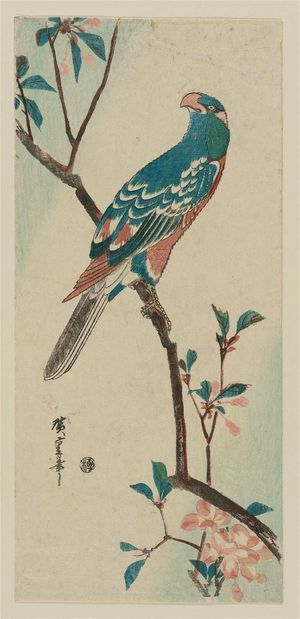 Utagawa Hiroshige: Aronia and Parrot - Museum of Fine Arts