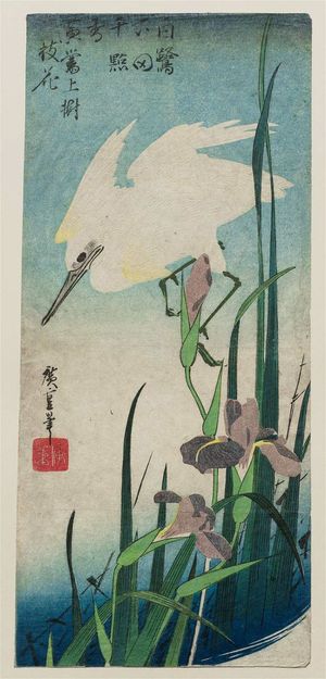 Utagawa Hiroshige: White Heron and Iris - Museum of Fine Arts