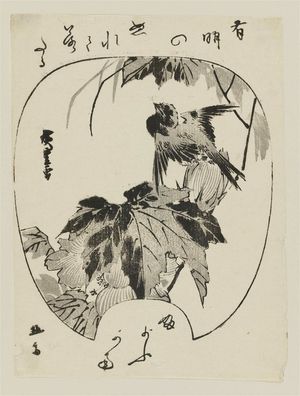 Utagawa Hiroshige: Swallow and Hibiscus in Fan Shape - Museum of Fine Arts