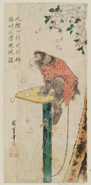 歌川広重: Pet Monkey and Cherry Blossoms - ボストン美術館